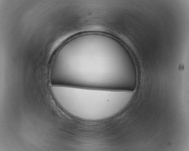 X0000111181364200907011022