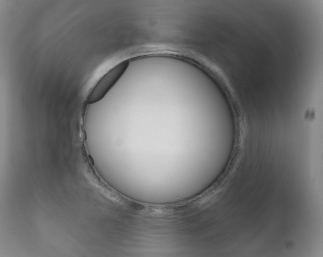X0000111181365200907011022
