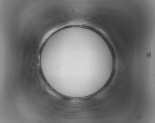 X0000111181366200907011022