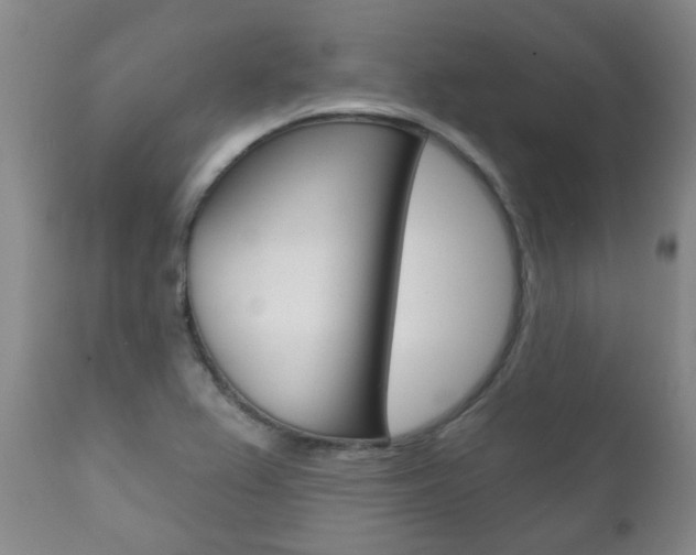 X0000111181367200907011022