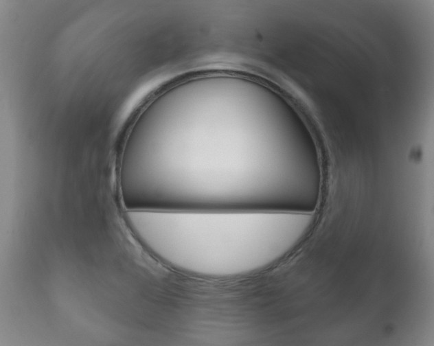 X0000111181368200907011022