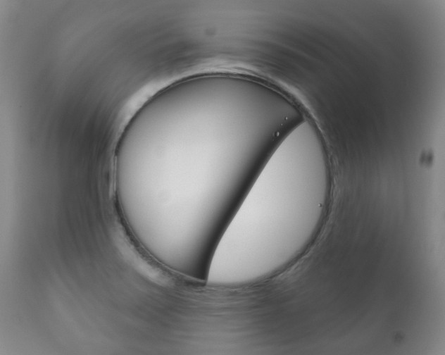 X0000111181371200907011022