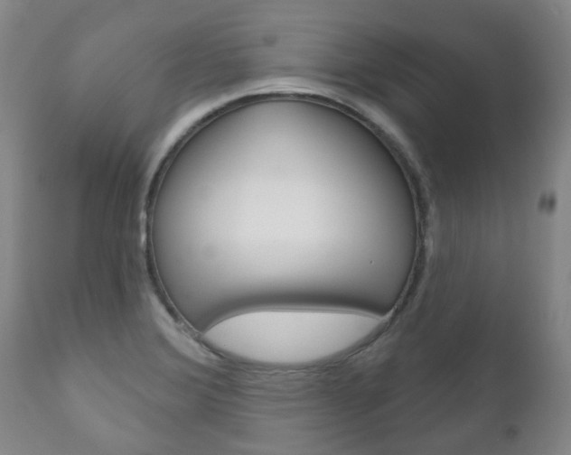 X0000111181372200907011022