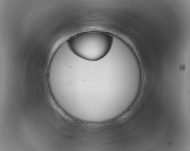 X0000111181373200907011022