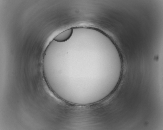 X0000111181374200907011022