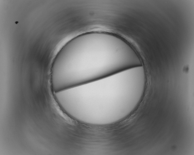X0000111181375200907011022