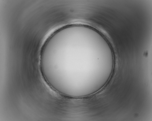 X0000111181376200907011022