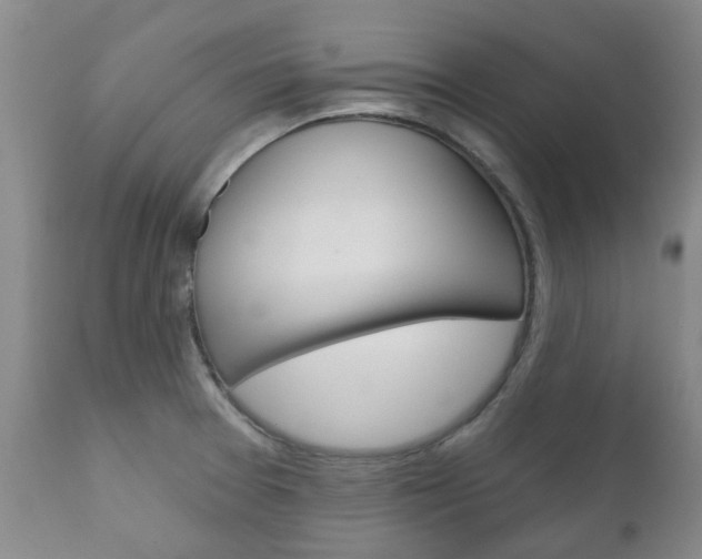 X0000111181377200907011022