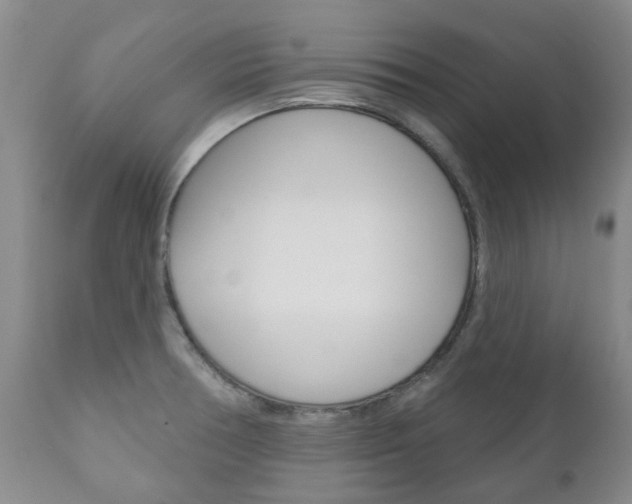X0000111181378200907011022