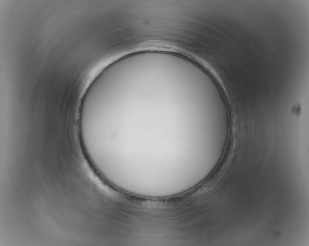 X0000111181379200907011022