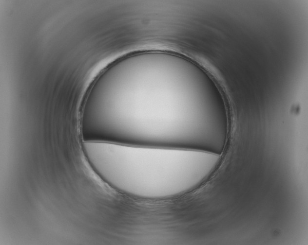 X0000111181380200907011022