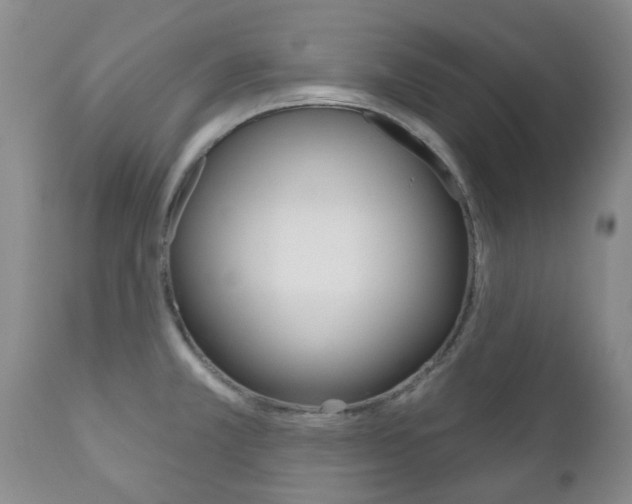 X0000111181381200907011022