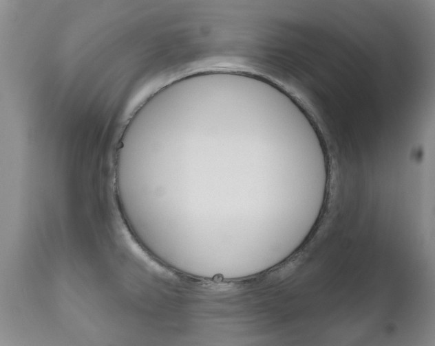 X0000111181382200907011022