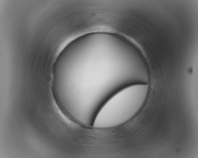 X0000111181383200907011022