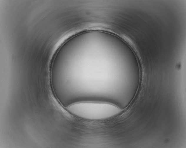 X0000111181384200907011022