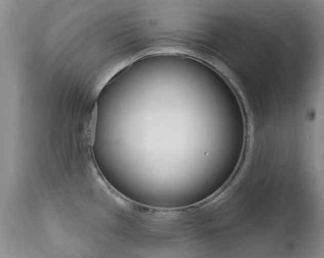 X0000111181385200907011022