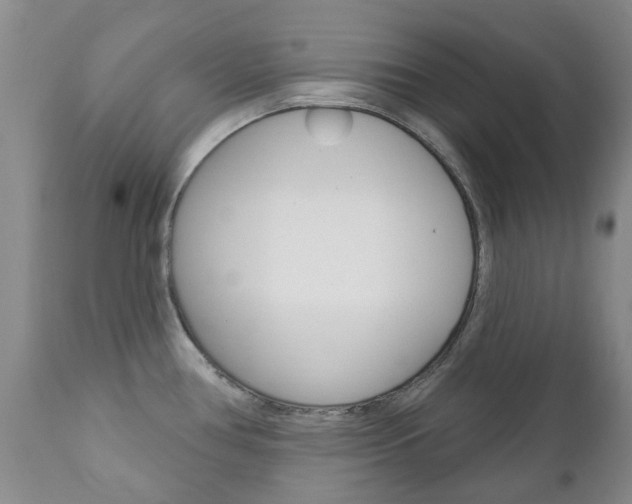X0000111181386200907011022