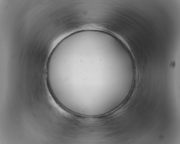 X0000111181387200907011022