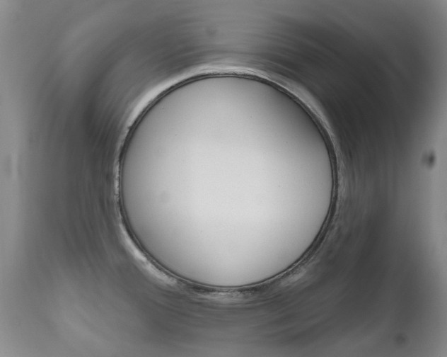 X0000111181388200907011022