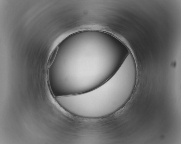 X0000111181389200907011022