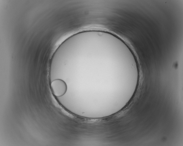 X0000111181390200907011022