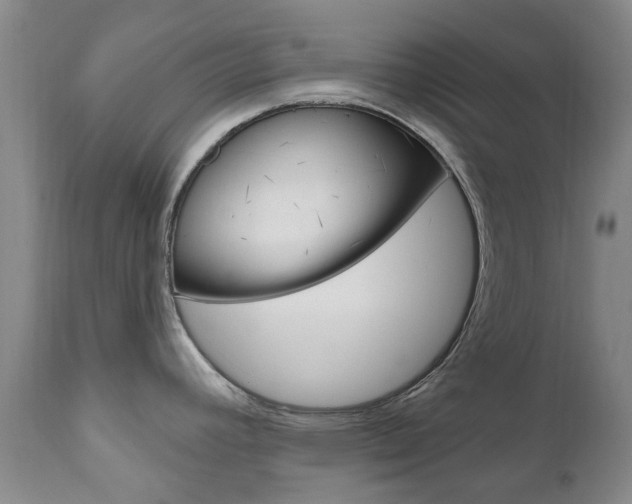 X0000111181392200907011022