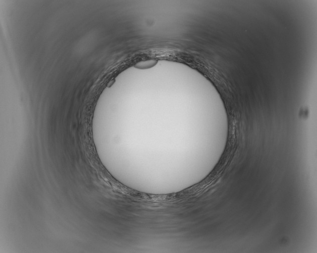 X0000111181393200907011021