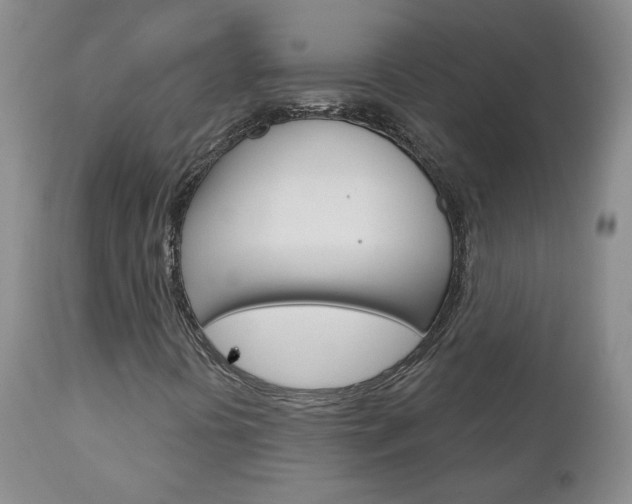 X0000111181394200907011021