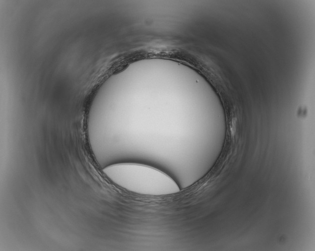 X0000111181396200907011021