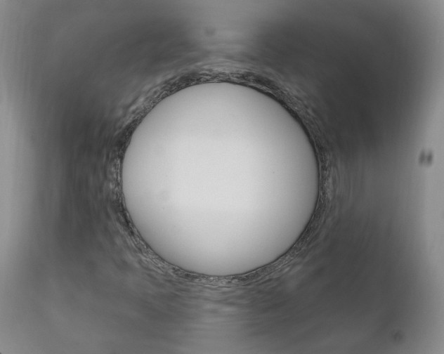 X0000111181397200907011021
