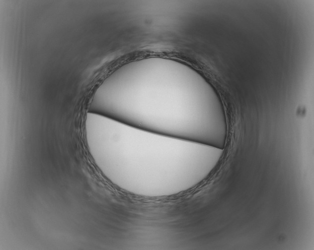 X0000111181398200907011021