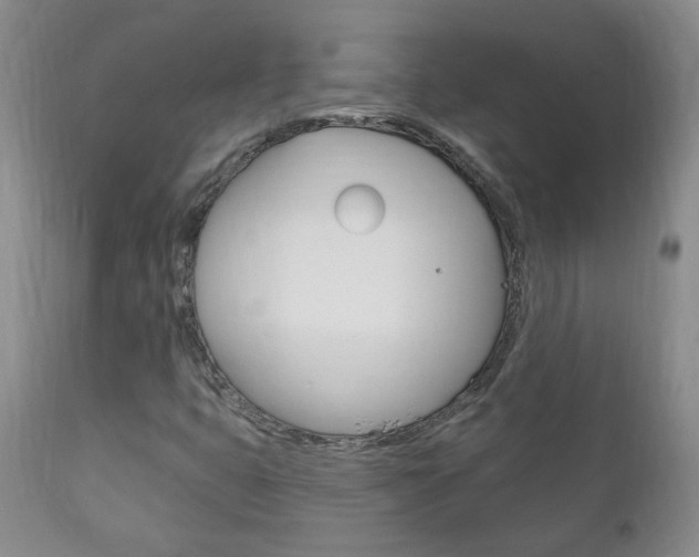 X0000111181399200907011021