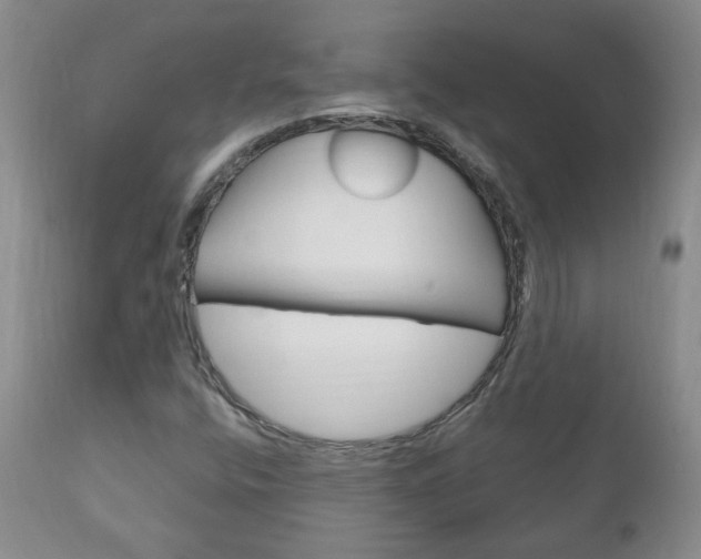 X0000111181400200907011021