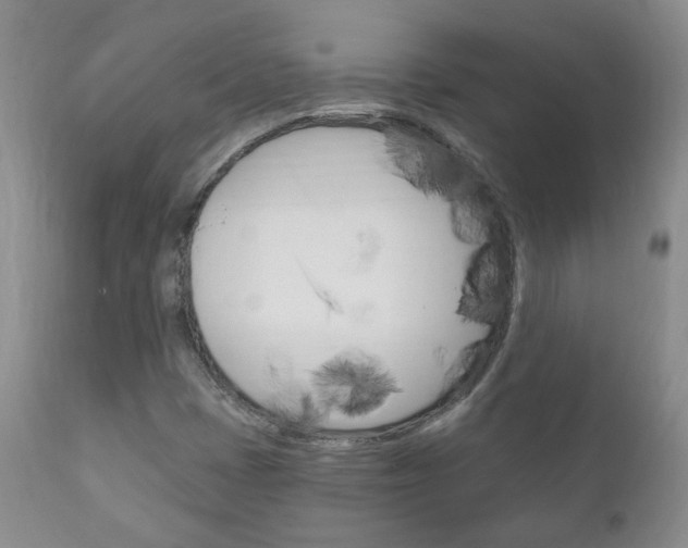 X0000111181401200907011021
