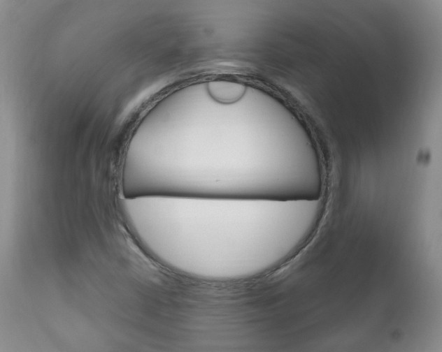 X0000111181402200907011021