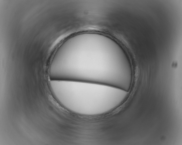 X0000111181404200907011021