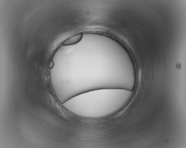 X0000111181405200907011021