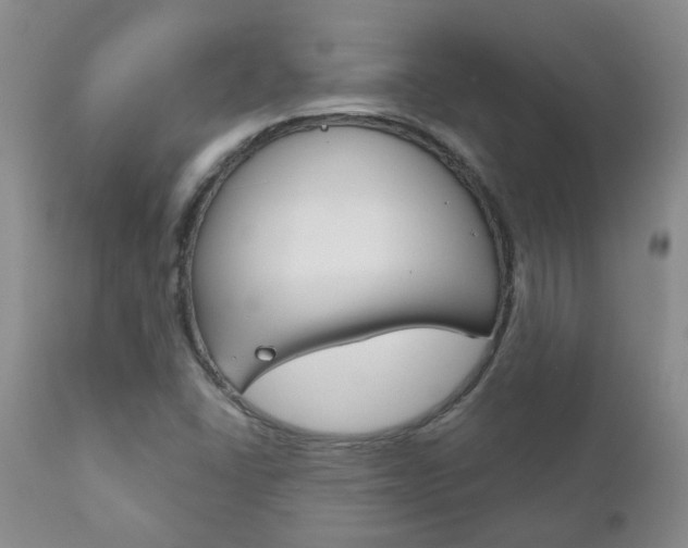 X0000111181406200907011021