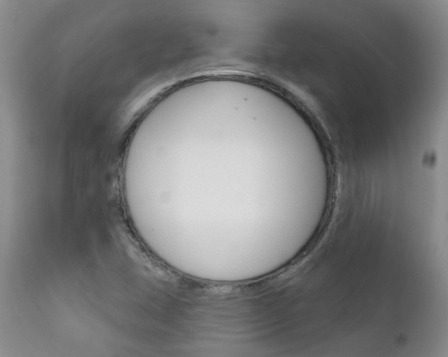X0000111181407200907011021