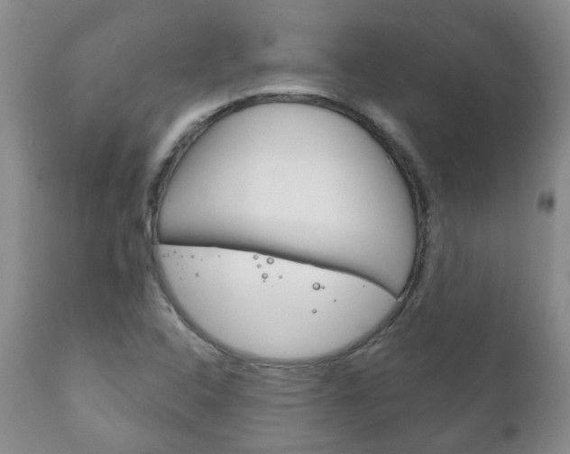 X0000111181408200907011021
