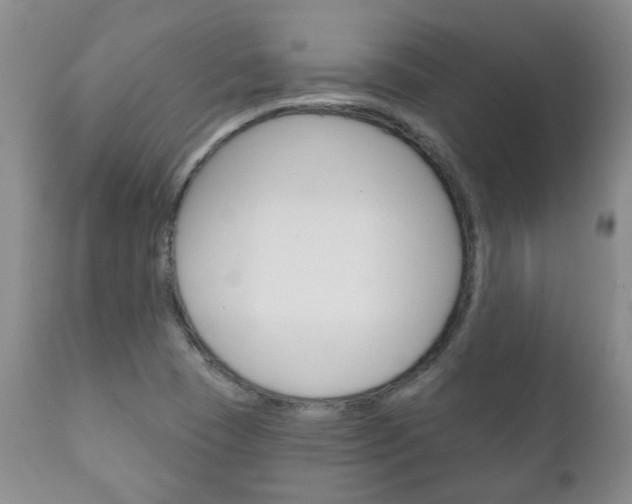 X0000111181409200907011021
