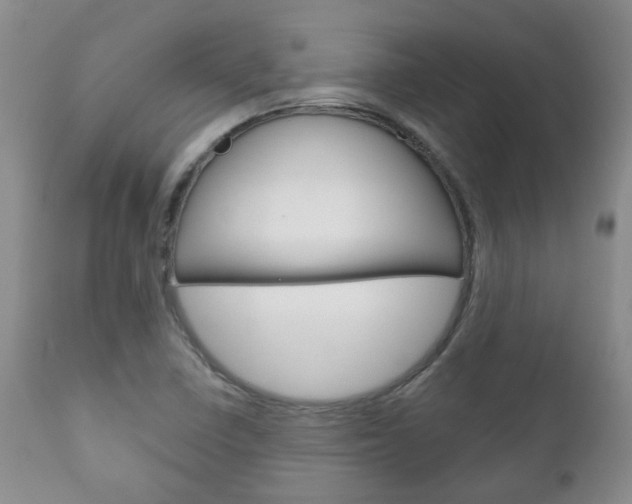 X0000111181410200907011021