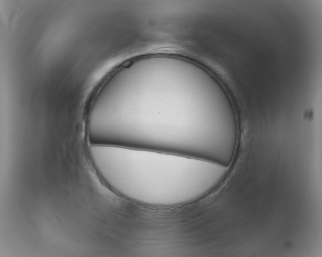 X0000111181414200907011021