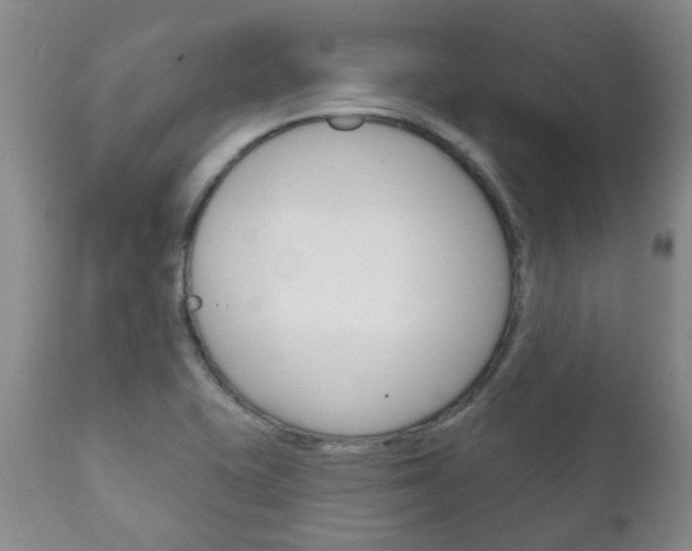X0000111181415200907011021