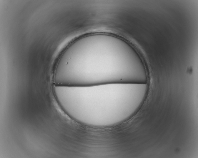 X0000111181416200907011021
