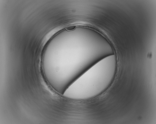 X0000111181418200907011021