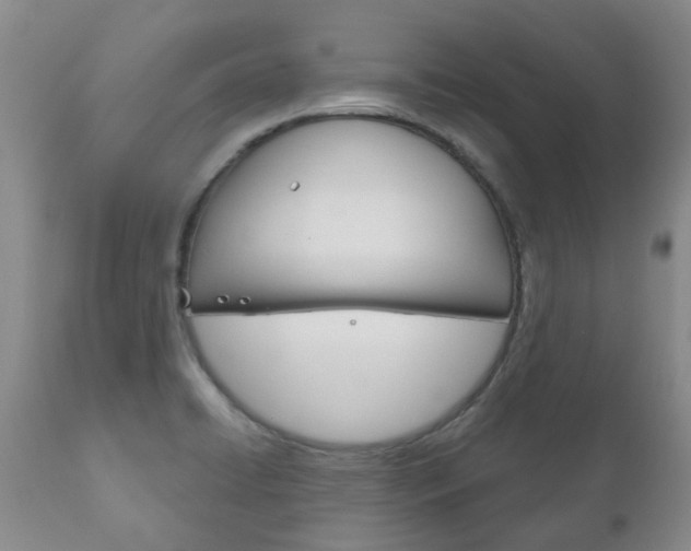 X0000111181422200907011022