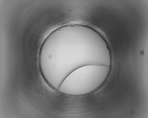X0000111181423200907011022