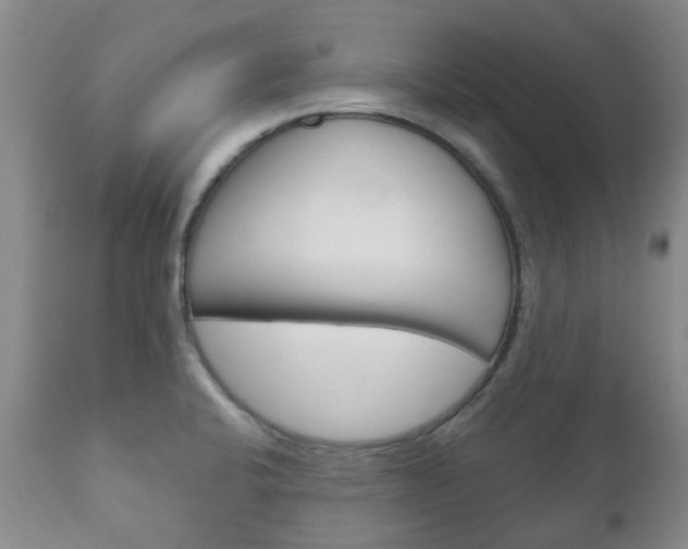 X0000111181424200907011022