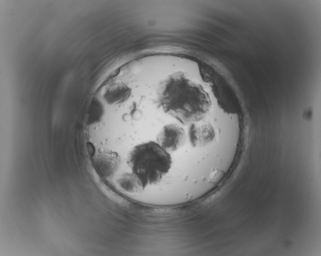 X0000111181425200907011022